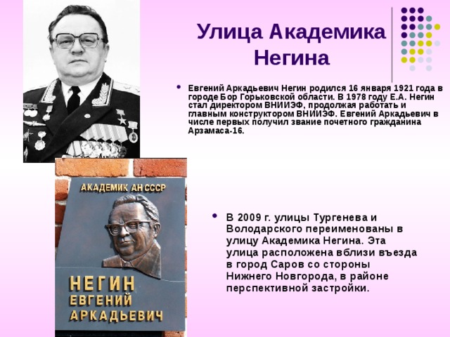 Негин саров. Академик Негин.