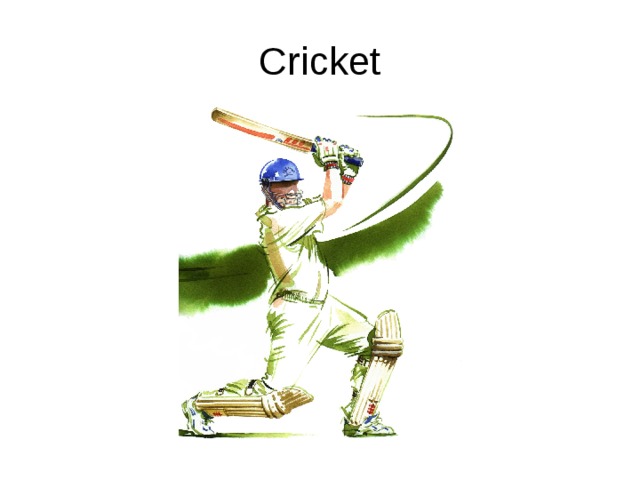 Cricket 