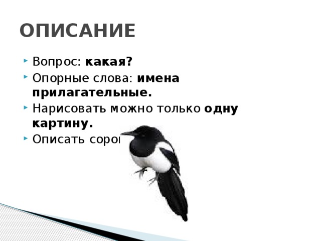 Описание какой вопрос. Сорока прилагательные. Птицы прилагательные. Какая сорока прилагательное. Птицы какие прилагательные.