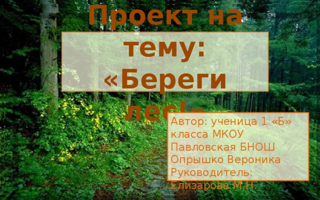 Презентация берегите лес