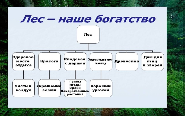 Берегите лес 2 класс планета знаний презентация