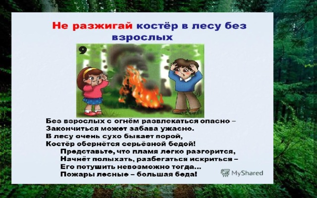 Сочинение 4 класс берегите лес от пожара