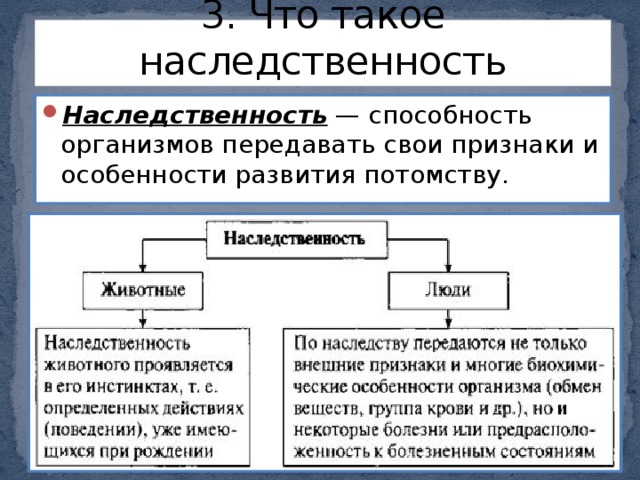 Наследственные признаки биология