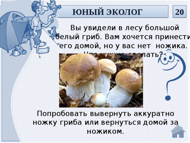 ЮНЫЙ ЭКОЛОГ 20  Вы увидели в лесу большой белый гриб. Вам хочется принести его домой, но у вас нет ножика. Что нужно сделать? Попробовать вывернуть аккуратно ножку гриба или вернуться домой за ножиком.  