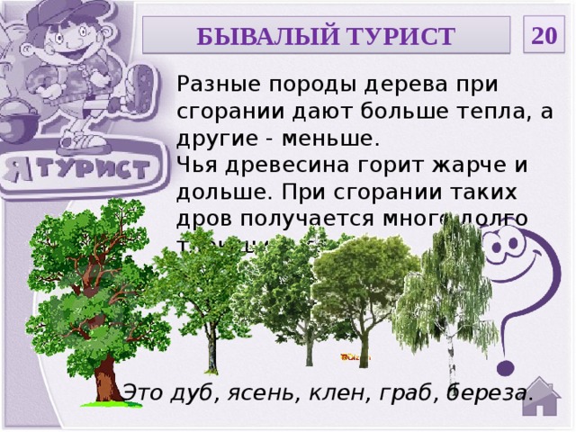 20 БЫВАЛЫЙ ТУРИСТ Разные породы дерева при сгорании дают больше тепла, а другие - меньше. Чья древесина горит жарче и дольше. При сгорании таких дров получается много долго тлеющих углей . Это дуб, ясень, клен, граб, береза.  