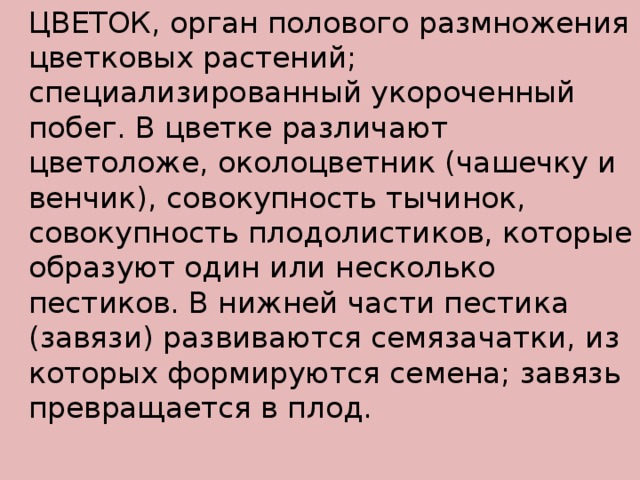  ЦВЕТОК, орган полового размножения цветковых растений; специализированный укороченный побег. В цветке различают цветоложе, околоцветник (чашечку и венчик), совокупность тычинок, совокупность плодолистиков, которые образуют один или несколько пестиков. В нижней части пестика (завязи) развиваются семязачатки, из которых формируются семена; завязь превращается в плод. 