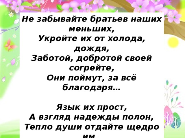 Не забывайте братьев наших меньших, Укройте их от холода, дождя, Заботой, добротой своей согрейте, Они поймут, за всё благодаря…  Язык их прост, А взгляд надежды полон, Тепло души отдайте щедро им, Ваше добро  они навек запомнят, Да будет всяк любовию  храним! 