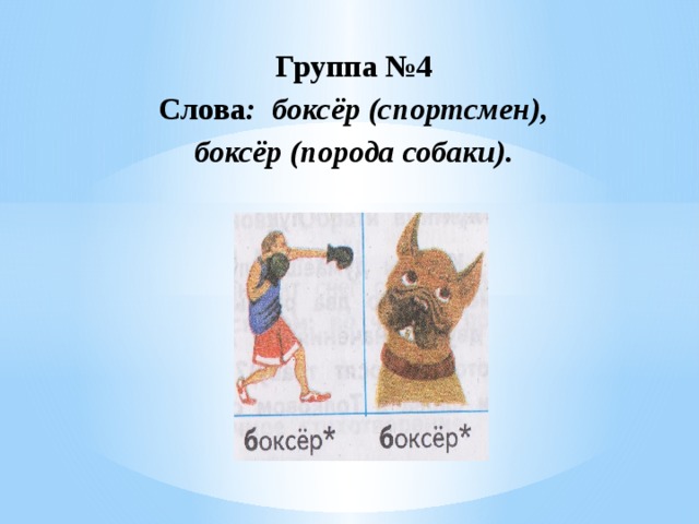 Группа №4   Слова : боксёр (спортсмен),  боксёр (порода собаки).