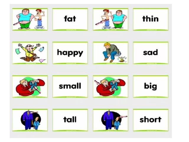 Карточки opposites. Big small long short. Opposite презентация. Карточки long short.