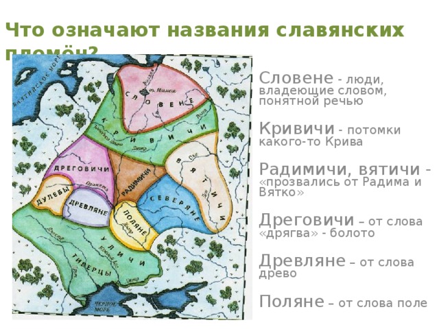 Древо славянских языков картинка