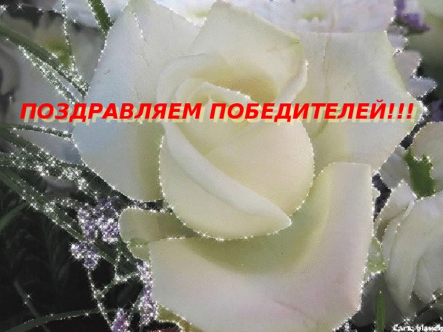 Поздравляем победителей!!! 