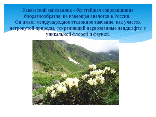Кавказский заповедник - богатейшая сокровищница биоразнообразия, не имеющая аналогов в России.   Он имеет международное эталонное значение, как участок нетронутой природы, сохранивший первозданные ландшафты с уникальной флорой и фауной . 
