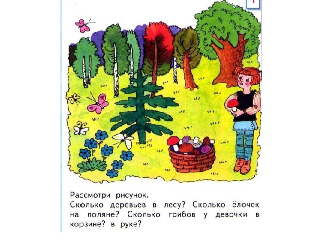 Рисунок можно рассматривать. Сколько елочек на Поляне. Много рисунков в одном. Понимание один много 1 класс. Понятия много один 1 класс.