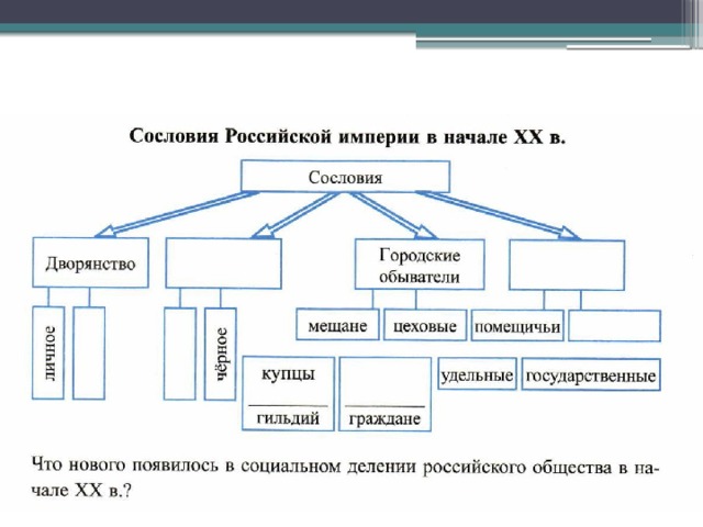 Сословия в вкл схема