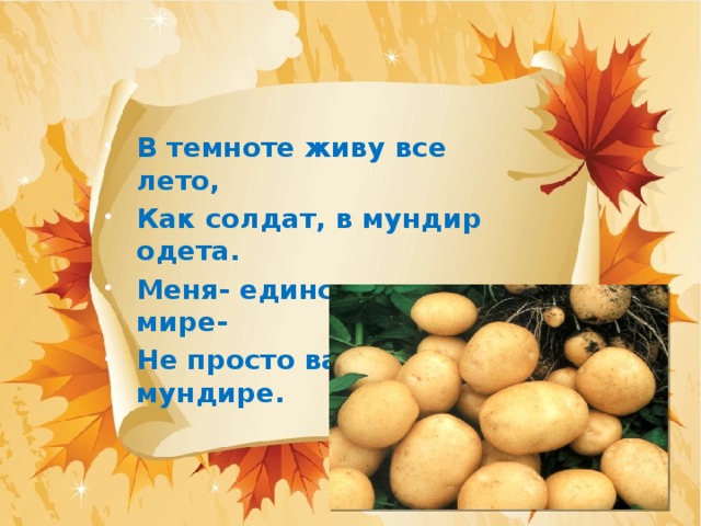 В темноте живу все лето, Как солдат, в мундир одета. Меня- единственную в мире- Не просто варят, а в мундире.  