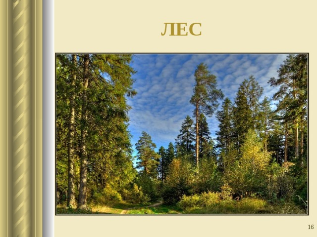 ЛЕС