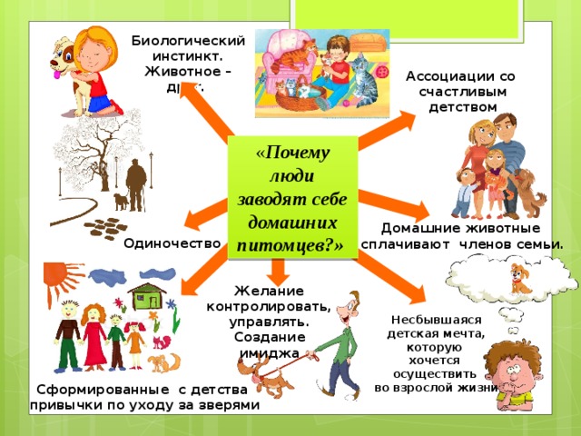 Почему человек животное. Зачем люди заводят домашних животных. Почему люди заводят домашних питомц. Почему люди заводят домашних питомцев. Почему люди заводят дома животных.