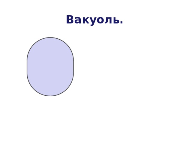 Вакуоль. 