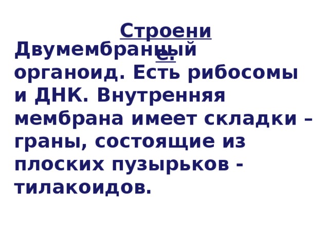 Строение. Двумембранный органоид. Есть рибосомы и ДНК. Внутренняя мембрана имеет складки – граны, состоящие из плоских пузырьков - тилакоидов. 