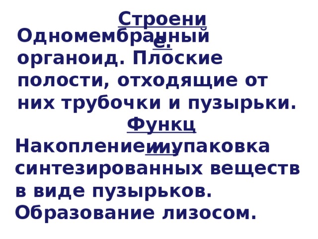 Строение. Одномембранный органоид. Плоские полости, отходящие от них трубочки и пузырьки. Функции. Накопление и упаковка синтезированных веществ в виде пузырьков. Образование лизосом. 