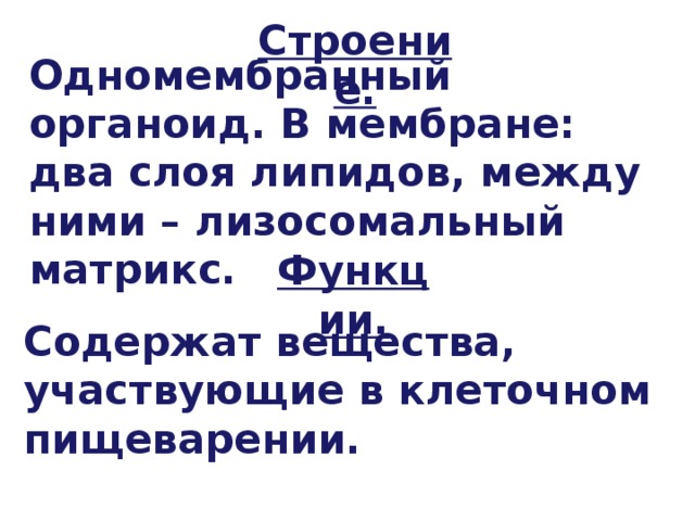 Строение. Одномембранный органоид. В мембране: два слоя липидов, между ними – лизосомальный матрикс. Функции. Содержат вещества, участвующие в клеточном пищеварении. 