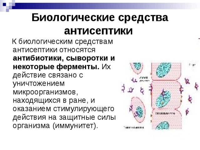 Биологические средства. К биологическим антисептикам относятся. К средствам биологической антисептики относится. К биологической антисептике относится. Биологический метод антисептики относится.