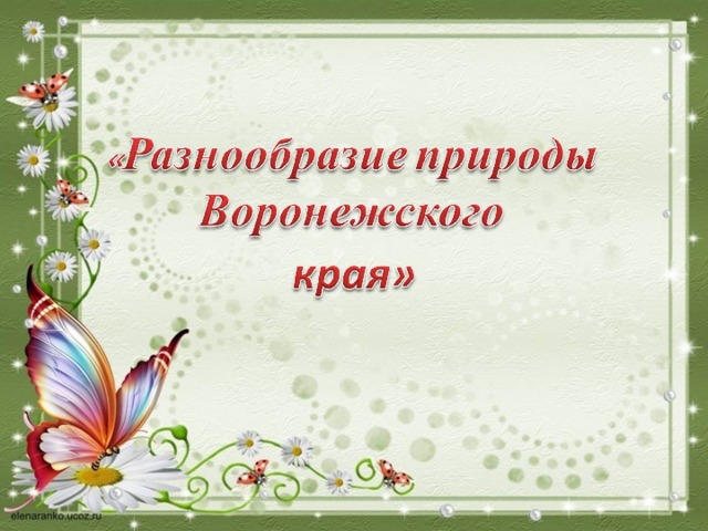 Этапы проекта разнообразие природы родного края Презентация по окружающему миру