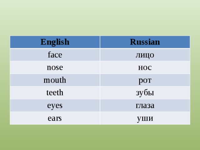 English Russian face лицо nose нос mouth рот teeth зубы eyes глаза ears уши 