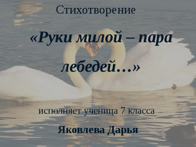 Есенин руки милой пара лебедей. Руки милой пара лебедей. Стих Есенина руки милой пара лебедей. Руки милой пара лебедей стих. Есенин руки милой пара лебедей текст.