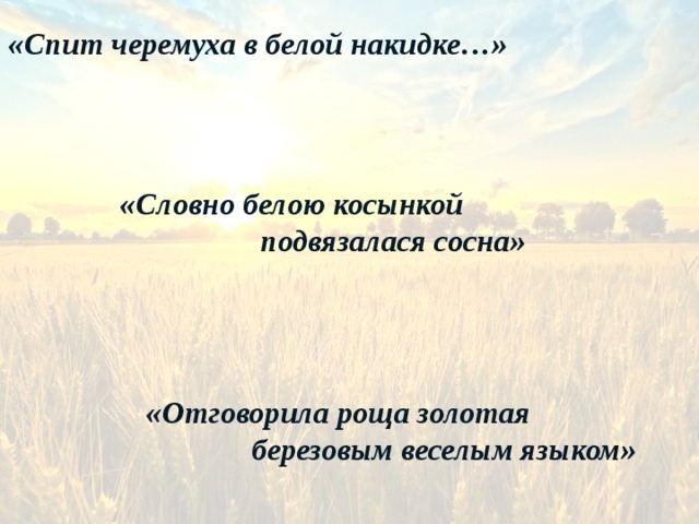 «Спит черемуха в белой накидке…» «Словно белою косынкой     подвязалася сосна» «Отговорила роща золотая    березовым веселым языком» 