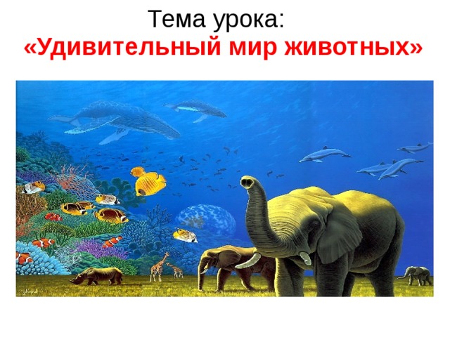 Тема урока:  «Удивительный мир животных»   
