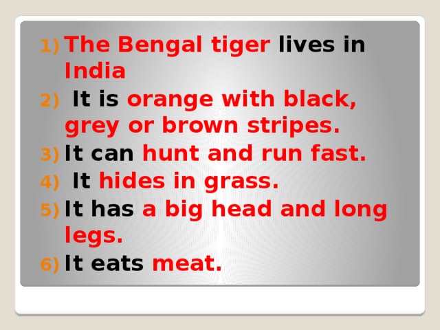 The Bengal tiger lives in India  It is orange with black, grey or brown stripes. It can hunt and run fast.  It hides in grass. It has a big head and long legs. It eats meat. 