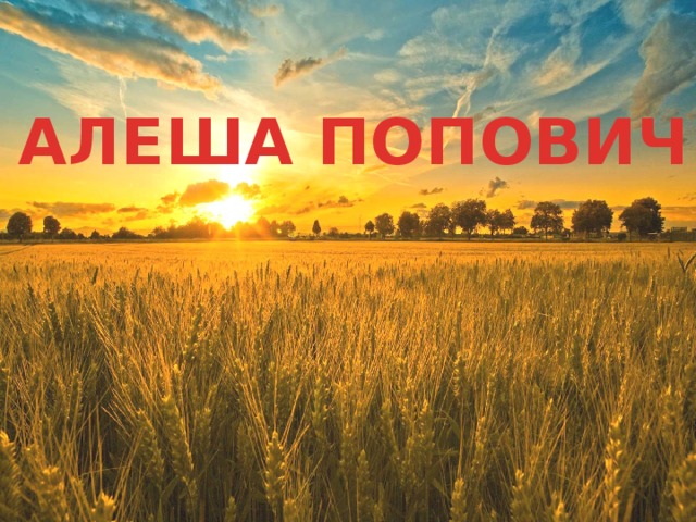 АЛЕША ПОПОВИЧ 