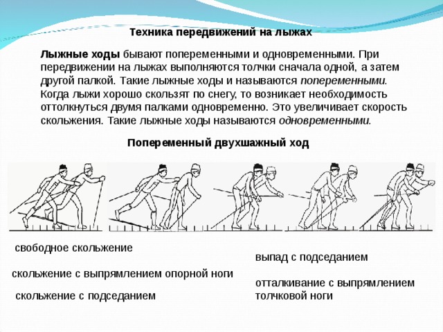  Техника передвижений на лыжах Лыжные ходы бывают попеременными и одновременными. При передвижении на лыжах выполняются толчки сначала одной, а затем другой палкой. Такие лыжные ходы и называются попеременными. Когда лыжи хорошо скользят по снегу, то возникает необходимость оттолкнуться двумя палками одновременно. Это увеличивает скорость скольжения. Такие лыжные ходы называются одновременными. Попеременный двухшажный ход свободное скольжение выпад с подседанием скольжение с выпрямлением опорной ноги отталкивание с выпрямлением толчковой ноги скольжение с подседанием 