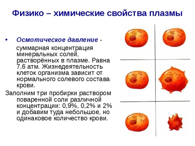 Физико химические свойства клетки