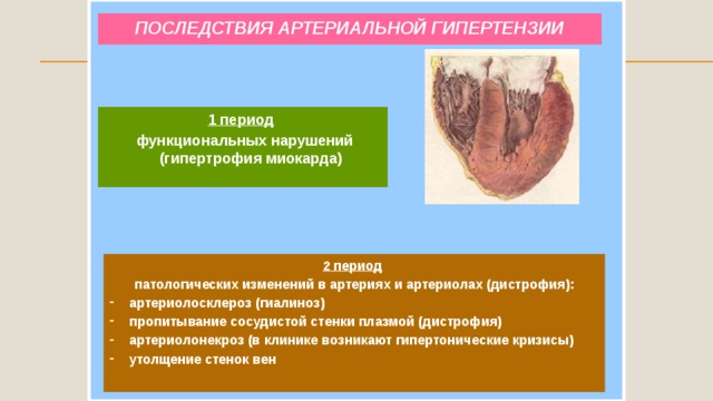 Механизм тромборезистентности сосудистой стенки