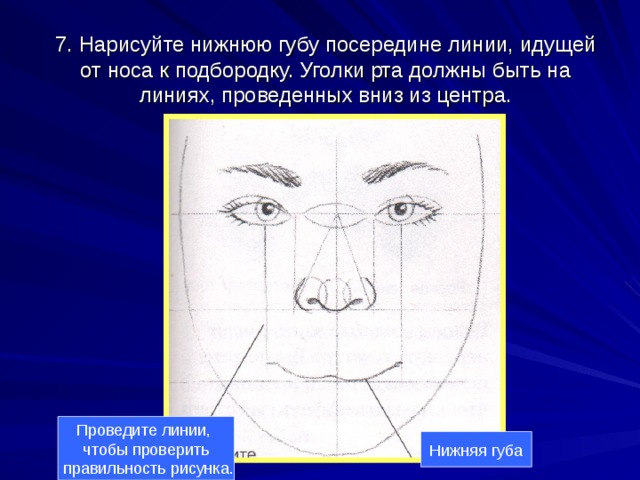 Тема портрет 6 класс. Линейный портрет 6 класс. Линия посередине нижней губы. Портреты 6 класс боковой. Темная линия посередине носа.