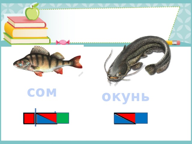 сом окунь 