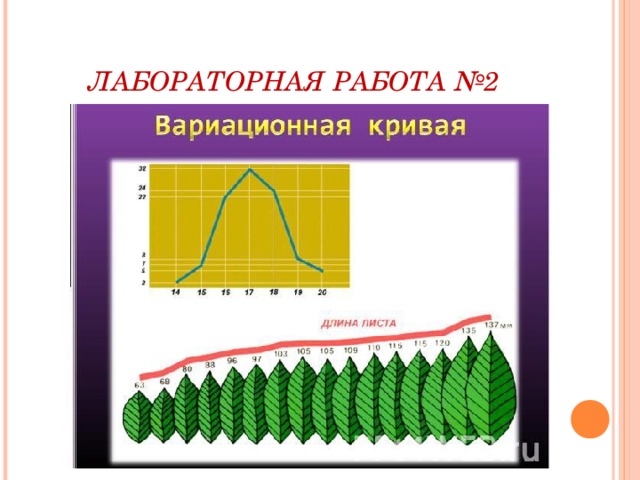 Как построить вариационную кривую