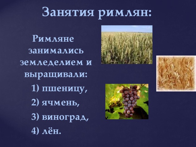 Основные занятия римлян. Что выращивали в древнем Риме 5 класс. Занятия римлян 5 класс. Занятия римлян 5 класс история.