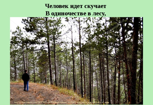 Человек идет скучает   В одиночестве в лесу,  