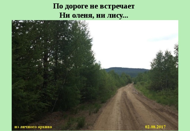 По дороге не встречает   Ни оленя, ни лису...  