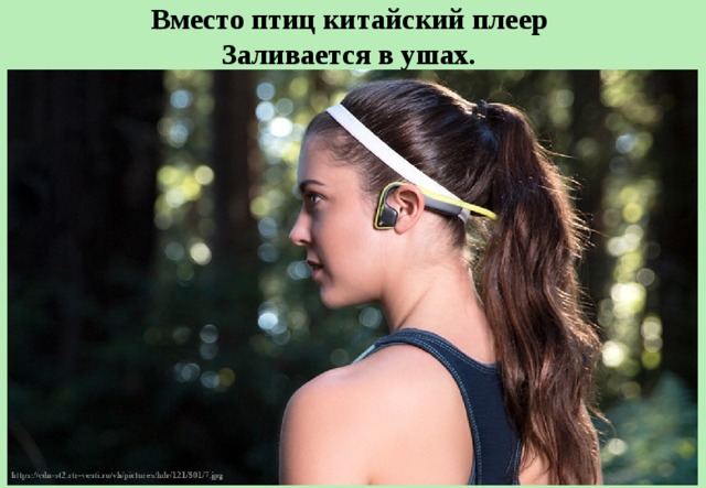 Вместо птиц китайский плеер   Заливается в ушах.  