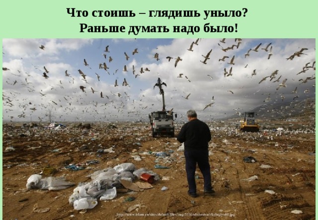 Что стоишь – глядишь уныло?   Раньше думать надо было! 