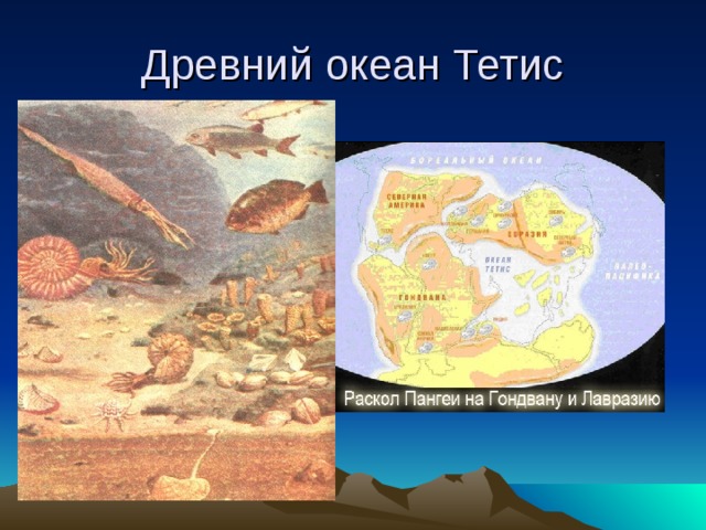 Древний океан был. Древний океан Тетис на карте. Древний океан Тетис Кавказ. Древний океан Тетис сейчас. Древнее море Тетис.
