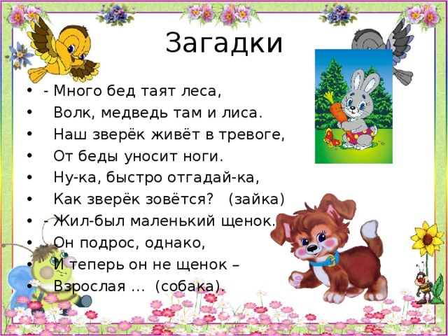 Многие загадки