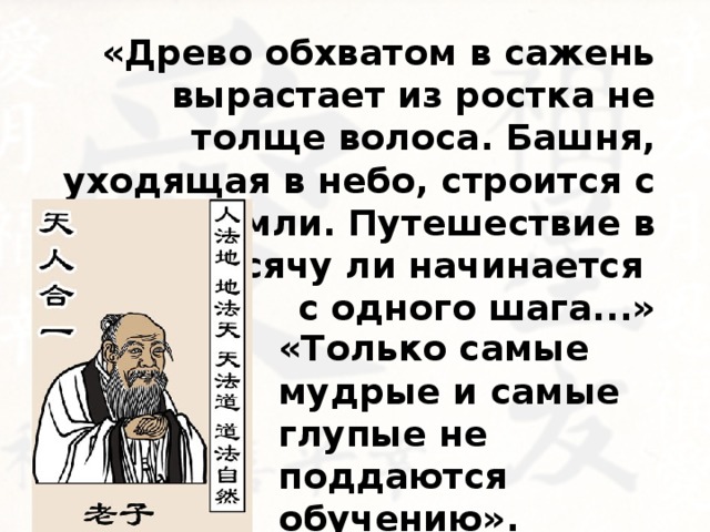 «Древо обхватом в сажень вырастает из ростка не толще волоса. Башня, уходящая в небо, строится с кучки земли. Путешествие в тысячу ли начинается с одного шага...» «Только самые мудрые и самые глупые не поддаются обучению». 