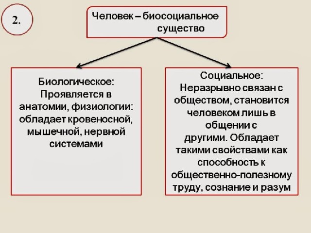 Социальная сущность человека план егэ