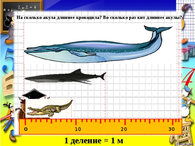 На сколько акула длиннее крокодила? Во сколько раз кит длиннее акулы? 0 30 20 10 1 деление = 1 м 
