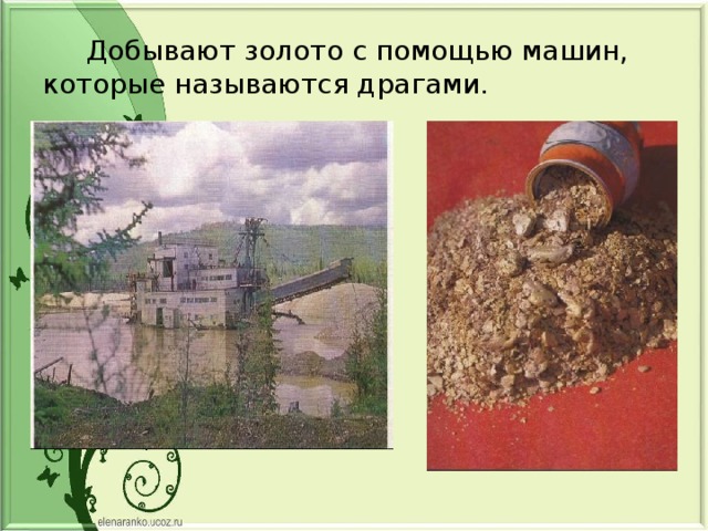  Добывают золото с помощью машин, которые называются драгами. 